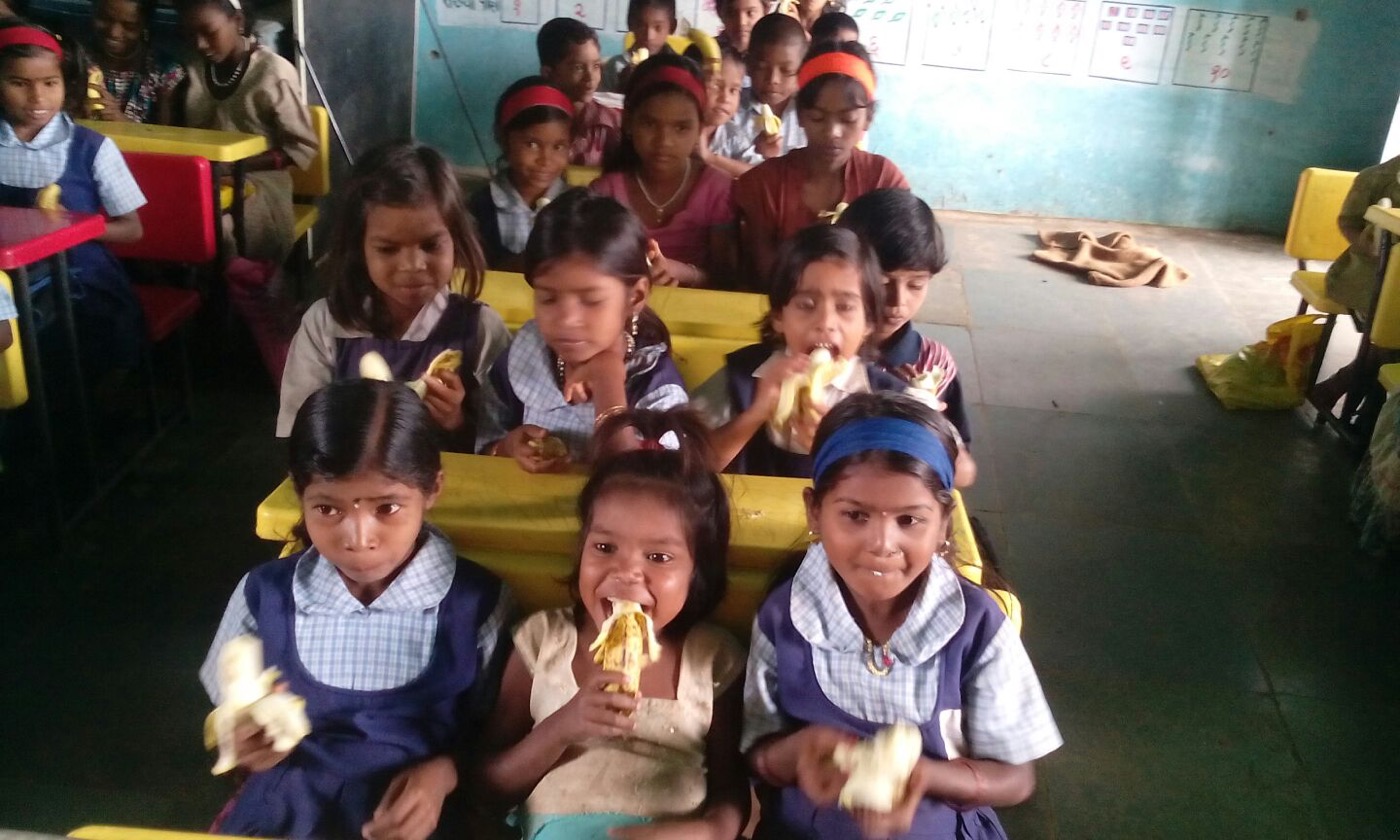Stop Malnutrition Deaths of Tribal Children photo 2